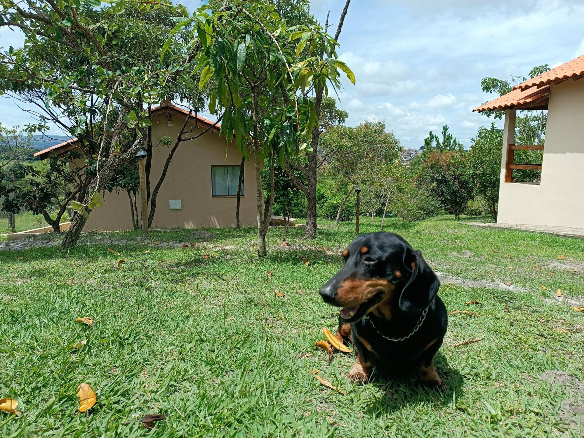 Toca dos Coelhos Chalés Carrancas Esterno foto